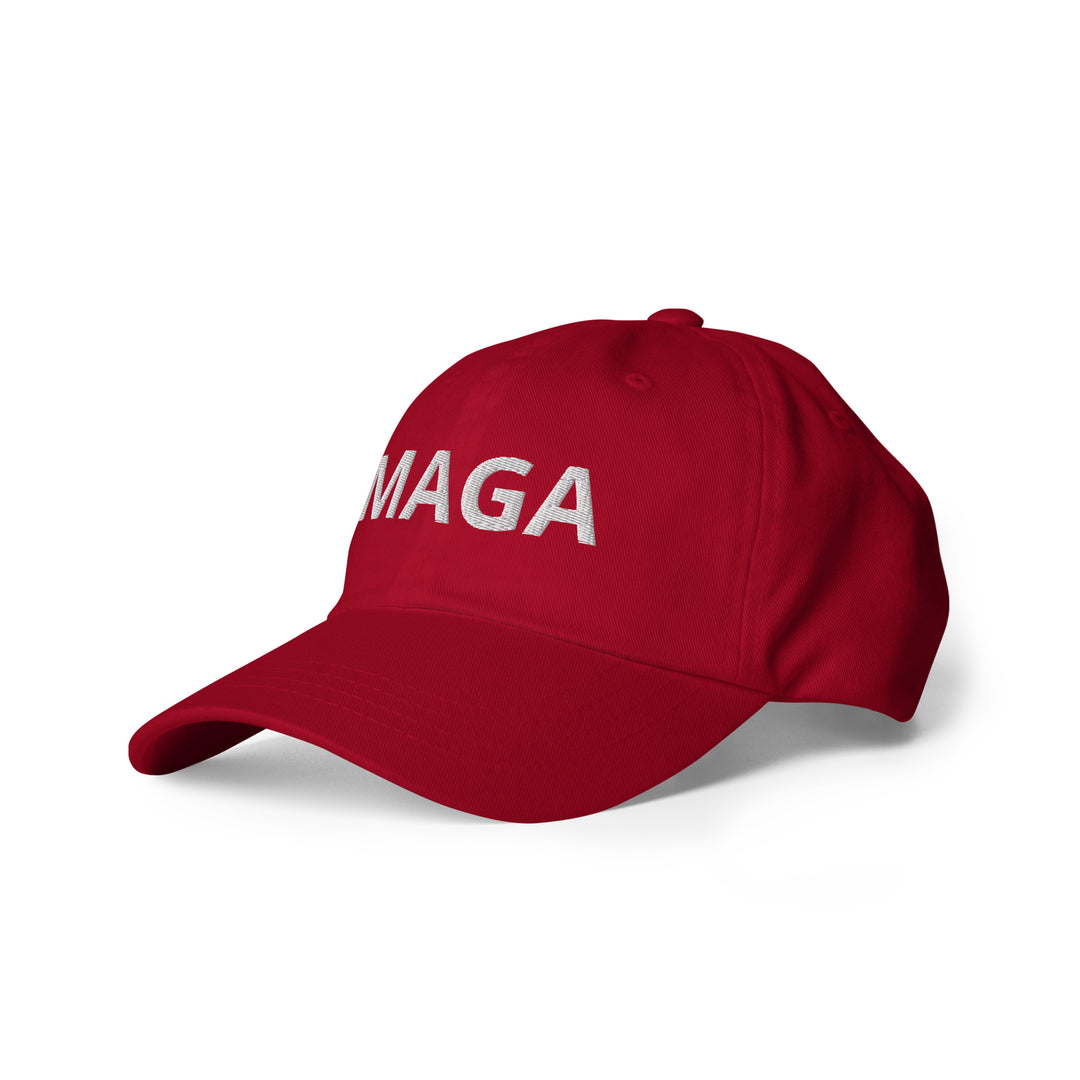 Donald Trump Hat, Make America Great Again Hat, Trump Cap, America Hat, MAGA Hats, Trump 2024 Cap, MAGA Caps