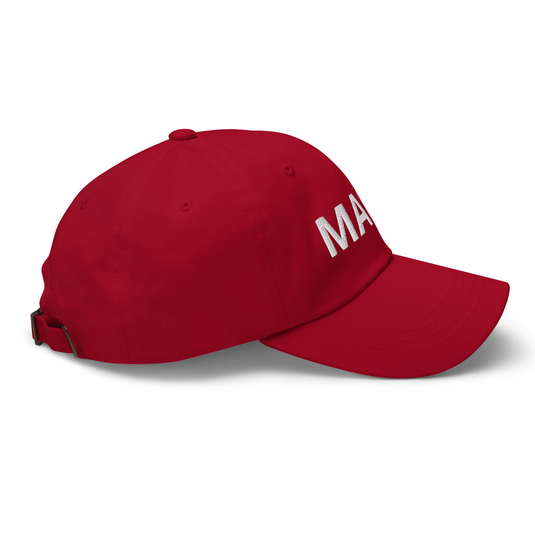 Donald Trump Hat, Make America Great Again Hat, Trump Cap, America Hat, MAGA Hats, Trump 2024 Cap, MAGA Caps