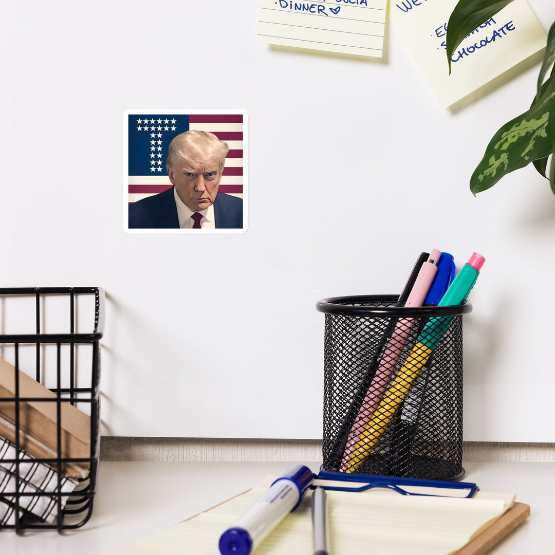 Donald Trump Magnets, Trump Mugshot Magnet, Trump 2024, USA Magnets, MAGA Magnets