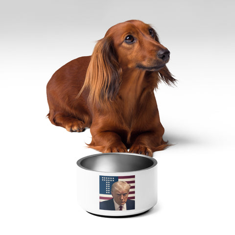 Donald Trump Pet Bowl, Trump Dog Dish, Trump Food Bowl, Funny Trump Gift