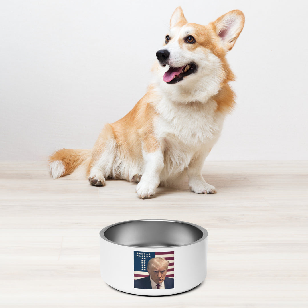 Donald Trump Pet Bowl, Trump Dog Dish, Trump Food Bowl, Funny Trump Gift