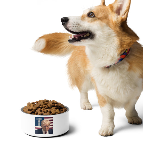 Donald Trump Pet Bowl, Trump Dog Dish, Trump Food Bowl, Funny Trump Gift