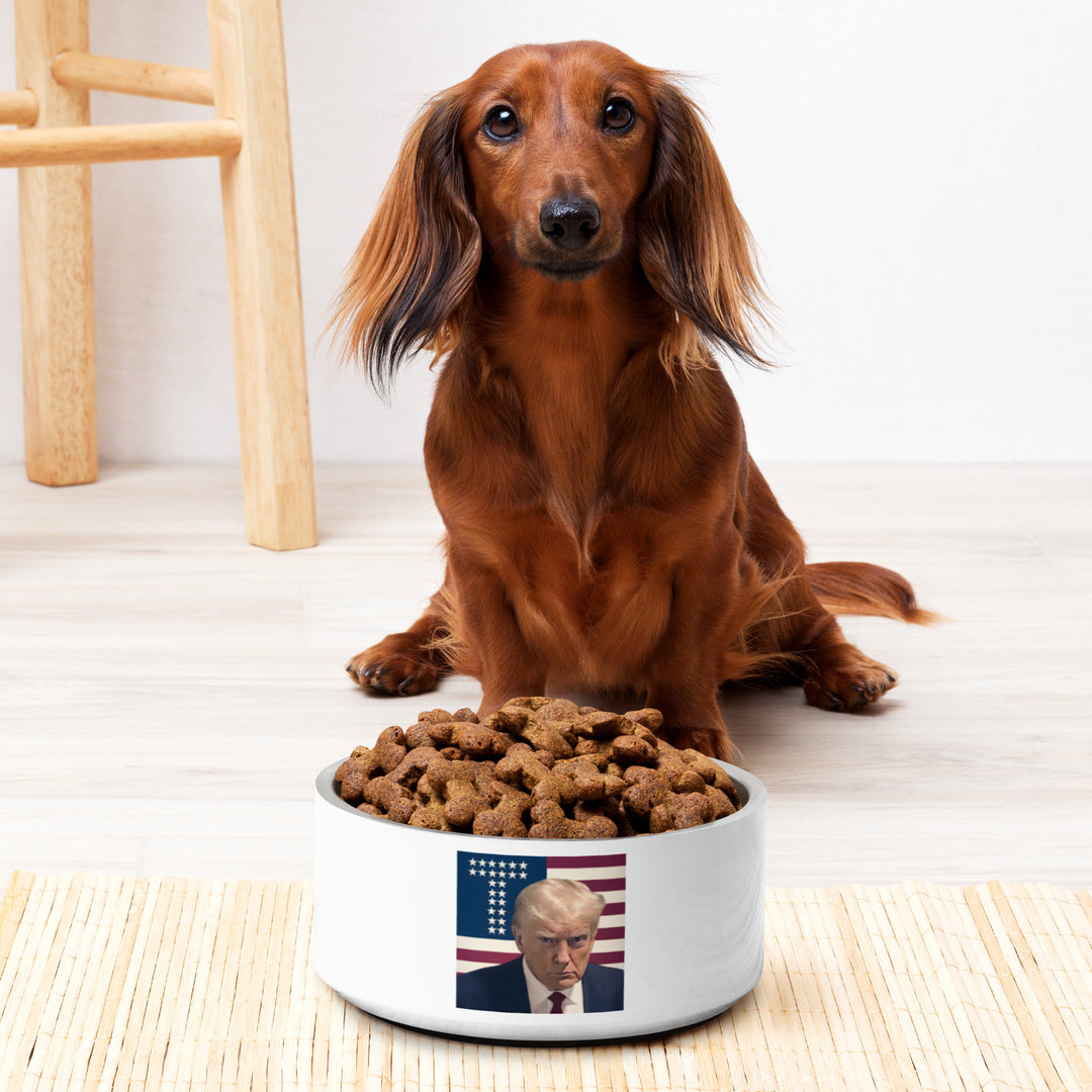 Donald Trump Pet Bowl, Trump Dog Dish, Trump Food Bowl, Funny Trump Gift